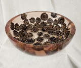 Crazy (Nutty?) Burr Oak Acorn Bowl (9 Crazy (Nutty?) Burr Oak Acorn Bowl (9